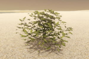 灌木丛3D模型