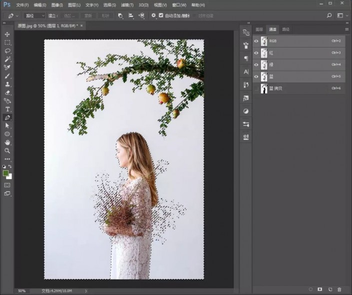 PS利用通道抠图实例详细教程